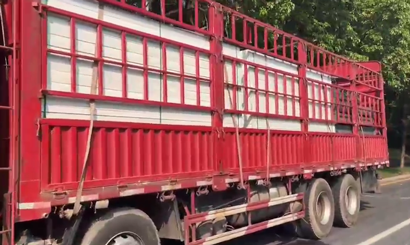 旭東PVC圍擋批發(fā)直供龍崗工地，2500米圍擋當天閃電送達